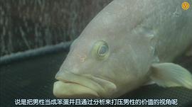 約飯 第1季 圖6