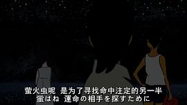 彩虹色的螢火蟲 圖2