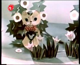 一棵大白菜 圖8