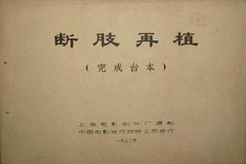 斷肢再植手術(shù)記錄 圖2