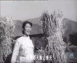 中国百年经典老电影 图7