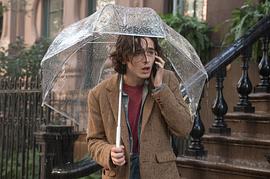 纽约下雨的一天电影在线播放 图8