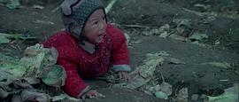 地平线67集免费观看 图6