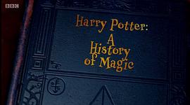 哈利·波特：一段魔法史 图1