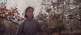 1970年中国电影 图5