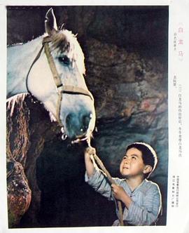 白龍馬 圖9
