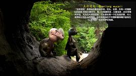 恐龙进化史纪录片国语 图9