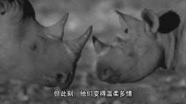 非洲 圖1