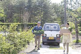 山中的湯姆先生 圖2