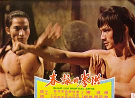 洪拳與詠春 圖8