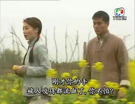 茶是故乡浓粤语版电视剧 图7