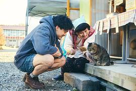 沒有季節(jié)的城市 圖7