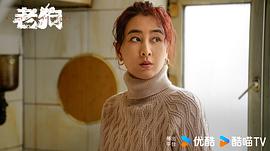 老狗 图9