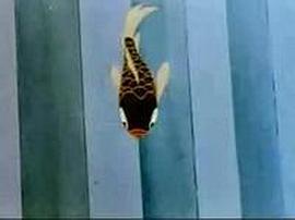 小鯉魚跳龍門 圖10