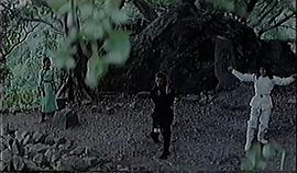 蛇鶴丹心震九洲 圖4