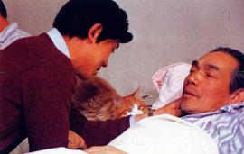便衣警察 圖4