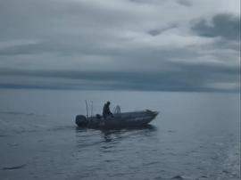 捕鲸鱼炼鲸油的电影 图9