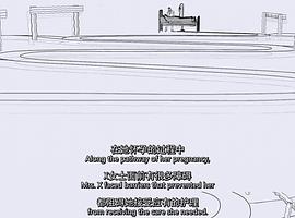 X女士因何而死 故事重述 圖2