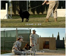 美国战争题材的军犬电影大全 图8