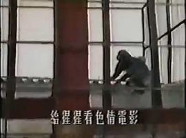 世界殘酷寫真 圖8