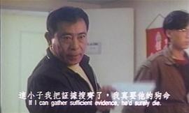 1999年警网雄风电视剧结局 图4