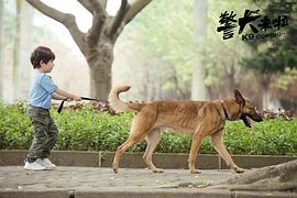 警犬來啦 圖7