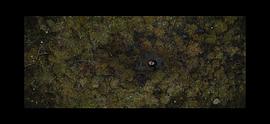 铁血战士3免费完整版电影 图7