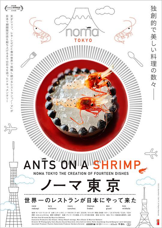 蚂蚁虾和什么有关