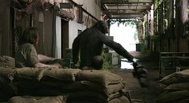 猩球崛起黎明之战2免费 视频 图8