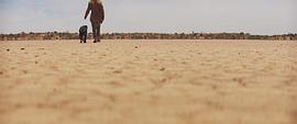 穿越沙漠无人区的电影 图5