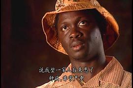 1993年太阳泪电视剧免费观看 图6