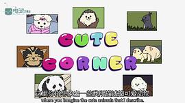 布拉德福德 圖2