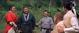 鳳飛飛 圖4