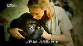 珍古道爾 圖8