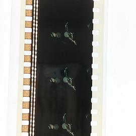 死亡女孩 圖1