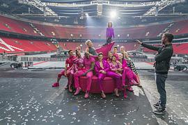 P!NK：我所知道的一切 圖9