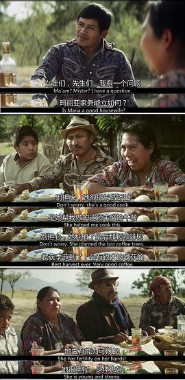 火山下的人生 圖1