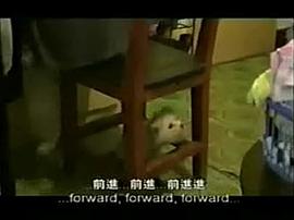 我不要你管 圖1