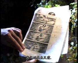 羅馬風(fēng)情 圖9
