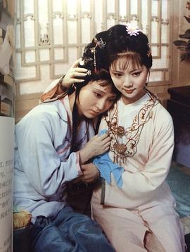 红楼梦1987版 图2