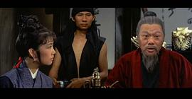 鏢旗飛揚 圖6