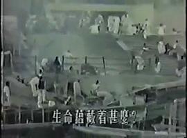 世界殘酷寫真 圖9