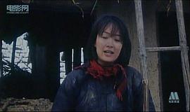 喜蓮 圖3
