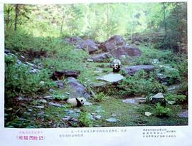 小熊猫历险记1995免费观看 图8