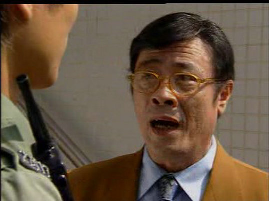 杨丽菁主演的全部电视剧