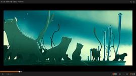 夜曲 圖10