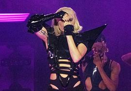 Lady Gaga：神彩巡回演唱会 图6