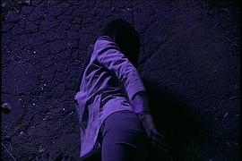 職業(yè)女特工 圖5