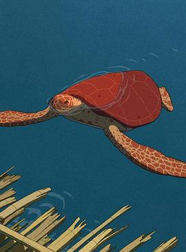 红海龟豆瓣 图5
