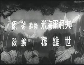 小白兔 圖5